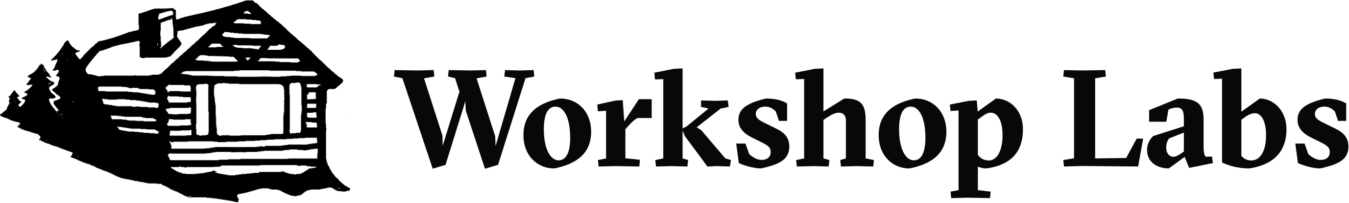 Workshop Labs